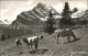 11758607 Braunwald GL Alp Kuehe Braunwald - Andere & Zonder Classificatie