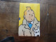 Delcampe - Lot 3 Coffrets De 3 Video-cassettes VHS Secam Tintin Neuves Sous Blister 18 Titres Hergé CITEL Ellipse Programme - Otros & Sin Clasificación