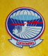 TISSU PATCH :   INSIGNE TISSU DE LA 501 Eme REGIMENT DE PARACHUTISTE BATAILLON DE LA 101 Eme AIRBORNE DIVISION A - Patches