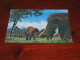 75705-       3 D CARD - OLIFANTEN / ELEPHANTS, DIEREN / ANIMALS / TIERE / ANIMAUX / ANIMALES - Elefantes