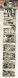 CPA (38) URIAGE - Carte à Système Avec Fenêtre Et Dépliant Accordéon Complet Des 10 Images - 1950 - Uriage