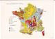 Carte Géologique De La France / Geological Map Of France. BRGM / Geological Survey. Scale 1/1,000,000. - Landkarten