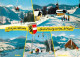 72693499 Gaissau Spielbergalm Krispl Winter Gaissau - Other & Unclassified