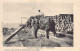 Burma - RANGOON - Elephants Working Timber - Publ. Watts & Skeen - Myanmar (Burma)