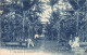 São Tomé & Príncipe - In A Plantation - Publ. Antonio Duarte D'Olivera 1 - Sao Tome And Principe