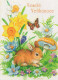 Amanita Muscaria, Mushrooms, Rabbit, Czech Rep., 2019, 65 X 95 Mm - Formato Piccolo : 2001-...