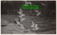 R449956 37176. Seagulls At Looe. Sologlaze Series. RP. E. A. Sweetman. 1944 - World