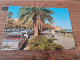 Postcard - Libya, Tripoli   (V 38099) - Libye