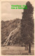 R450206 Powerscourt Waterfall. Enniskerry. Co. Wicklow. R1882. Sepiatype. Valent - World