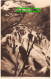 R450723 Bettws Y Coed. Swallow Falls. Photochrom. 1928 - World