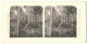 Stereo-Fotografie Lichtdruck Bedrich Koci, Prag, Südamerika Expedition 1907, Jizni Amerika, Cako Central  - Stereoscoop