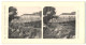 Stereo-Fotografie Lichtdruck Bedrich Koci, Prag, Ansicht Minas Gerais, Facenda Momfim, Südamerika Expedition 1907  - Stereoscoop