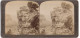 Stereo-Fotografie Underwood & Underwood, New York, Ansicht Arizona, Felsformation Guardian Giants Am Grand Canyon  - Stereoscopic