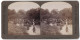 Stereo-Photo Underwood & Underwood, New York, Ansicht Severn Valley, Rinderherde Am Fluss  - Stereoscopic