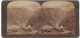 Stereo-Fotografie Underwood & Underwood, New York, Ansicht Eternity Leap / Arizona, Colorado River Im Grand Canyon  - Stereoscoop