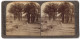 Vue Stéréoscopique-Photo Underwood & Underwood, New York,  Vue De Ägypten, Bauern Dreschen Getreide  - Stereo-Photographie