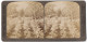 Stereo-Fotografie Underwood & Underwood, New York, Ansicht Havanna / Kuba, Arbeiter Auf Einer Tabak-Plantage  - Photos Stéréoscopiques