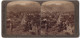 Stereo-Fotografie Underwood & Underwood, New York, Ansicht Sparta, Ortsansicht Mit Taygetos - Berg  - Stereoscopic