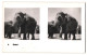 Delcampe - 20 Stereo-Fotografien Mit Stereobetrachter Omnia-Verlag Tiere Serie Aus Dem Zoo  - Stereo-Photographie