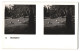 Delcampe - 20 Stereo-Fotografien Mit Stereobetrachter Omnia-Verlag Tiere Serie Aus Dem Zoo  - Stereoscopic