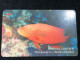 Card Phonekad Vietnam(lyretail Grouper 300 000dong-1998)-1pcs - Viêt-Nam