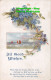 R451491 All Good Wishes. Blue Flowers. M. B. Series No. 247 - Monde