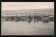 CPA Portejoie, Inondation De 1910, Vue Générale, Inondation  - Altri & Non Classificati