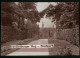 Fotografie Brück & Sohn Meissen, Ansicht Riesa / Elbe, Brandenburger Weg Im Stadtpark Mit Blick Zur Kirche  - Plaatsen