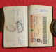 Delcampe - Egypt Passport,  Pasaporte, Passeport, Reisepass 2000 - Documents Historiques