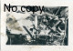 3 PHOTOS FRANCAISES - AVION ALLEMAND ABATTU - A LOCALISER - GUERRE 1914 1918 - Krieg, Militär
