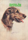 R453092 The Irish Wolfhound. Dog. No. 15 Of A Series Of 30 Cards. De Reszke Ciga - Mundo