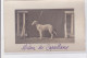 St-CYPRIEN : Carte Photo Chenil Du Domaine Des Capeillans Dressage Chiens Domaine Des Capeillans - Très Bon état - Saint Cyprien