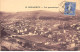 BEDARIEUX - Vue Panoramique - Très Bon état - Bedarieux