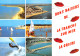 85-LA TRANCHE SUR MER LA GRIERE-N°4205-D/0087 - La Tranche Sur Mer