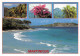 972-LA MARTINIQUE-N°4206-B/0233 - Altri & Non Classificati