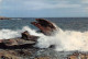 56-QUIBERON-N°4207-A/0365 - Quiberon