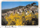 83-BORMES LES MIMOSAS-N°4207-D/0381 - Bormes-les-Mimosas