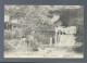 CPA - 39 - Salins-les-Bains - Source Du Lizon - Précurseur - Circulée En 1903 - Other & Unclassified