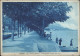 Cr340 Cartolina Lovere Lago D'iseo Passeggiata Al Viale Dei Tigli Bergamo 1940 - Bergamo