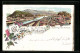 Lithographie Salzburg, Panorama Der Stadt Mit Salzach  - Autres & Non Classés