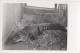 Zagreb - City Zoo , Crocodile Or Gator Ca.1930 - Croatia