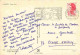 40 - Landes - Foret Landaise - Sous-bois - CPM - Voir Scans Recto-Verso - Other & Unclassified