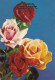 Fleurs Flower Roses - Flowers
