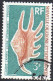 Nle-Calédonie Poste Obl Yv: 379/380 Coquillages (cachet Rond) - Used Stamps
