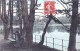 75 - PARIS 12 -  Bois De Vincennes - Les Bords Du Lac Daumesnil - Distretto: 12