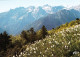 31 - Haute Garonne -  LUCHON -  Vue Du Plateau De Superbagneres Sur La Vallée De L Hospice De France - Luchon