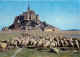 Animaux - Moutons - Le Mont Saint Michel - Les Moutons De Prés-salés - CPM - Carte Neuve - Voir Scans Recto-Verso - Autres & Non Classés