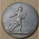 Médaille Argent Agriculture Nice Et Alpes-Maritimes Par J. Lagrange , Lartdesgents.fr - Royaux / De Noblesse