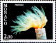 Delcampe - Monaco Poste N** Yv:1253/1263 Faune De La Méditerranée Coraux - Unused Stamps