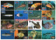 LIBYA 1983 Fishes Fish (16 Maximum-cards) - Poissons